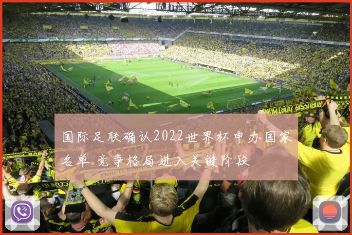 国际足联确认2022世界杯申办国家名单 竞争格局进入关键阶段