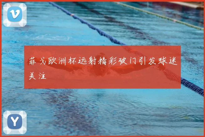 菲戈欧洲杯远射精彩破门引发球迷关注
