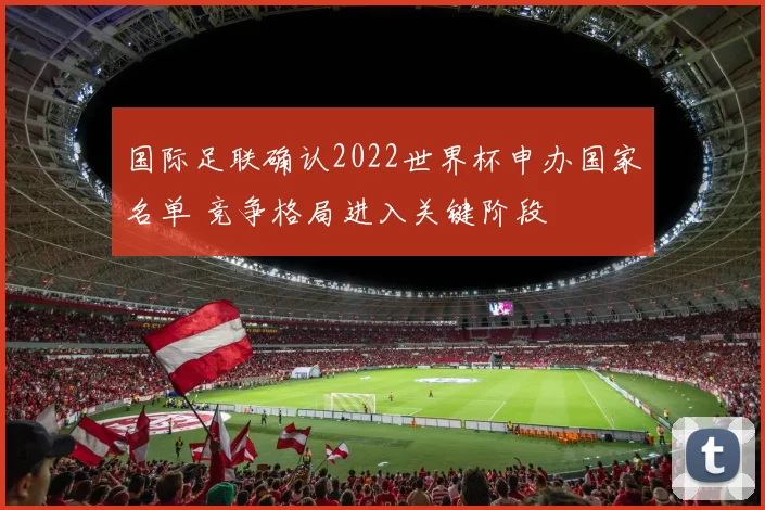 国际足联确认2022世界杯申办国家名单 竞争格局进入关键阶段
