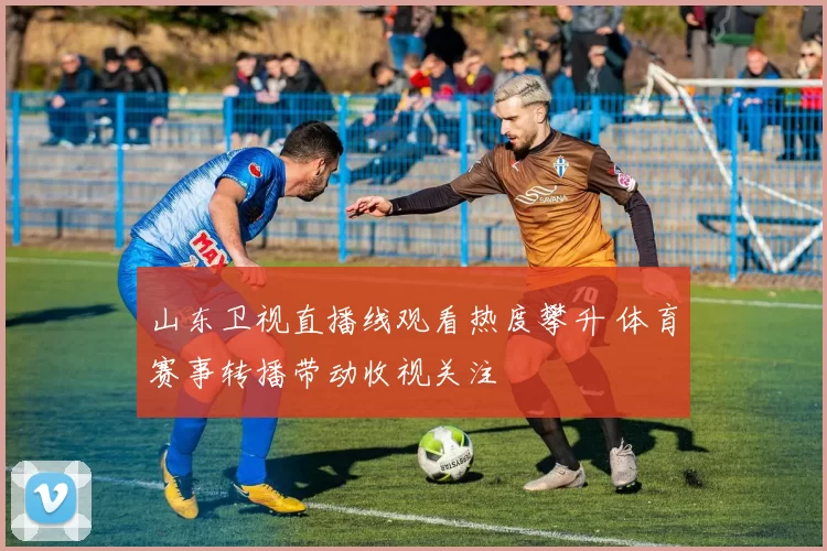 山东卫视直播线观看热度攀升 体育赛事转播带动收视关注