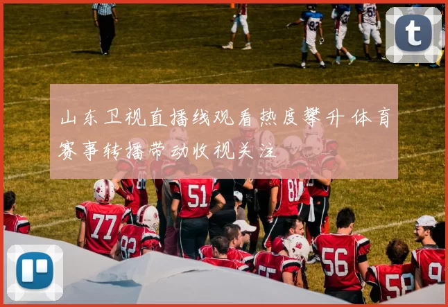 山东卫视直播线观看热度攀升 体育赛事转播带动收视关注